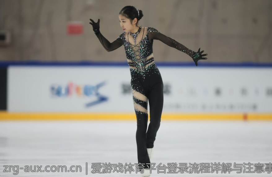 爱游戏体育平台登录流程详解与注意事项